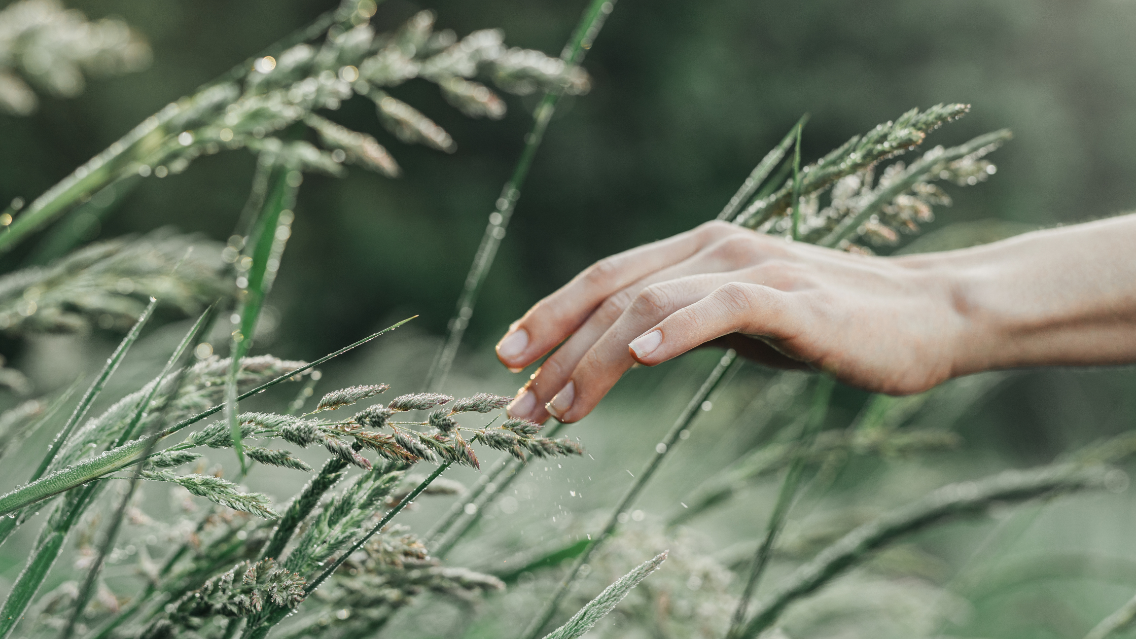 Natural skincare