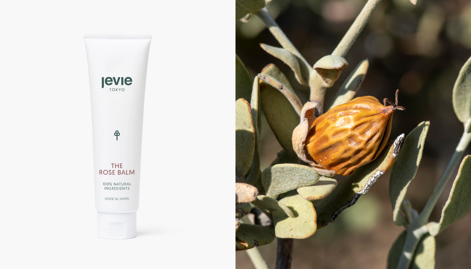 Why You Actually Do Need a Balm in Summer
