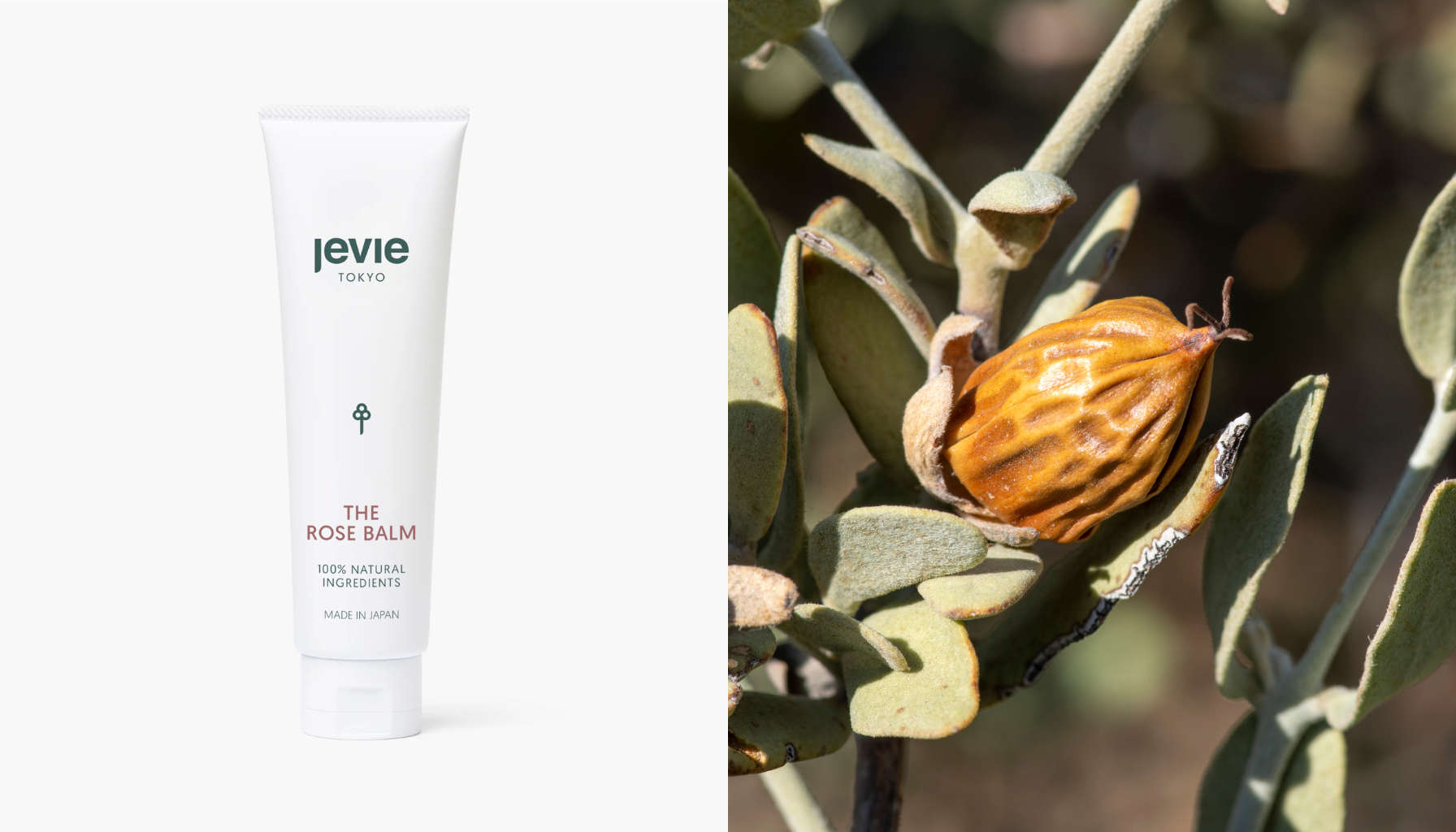 Why You Actually Do Need a Balm in Summer
