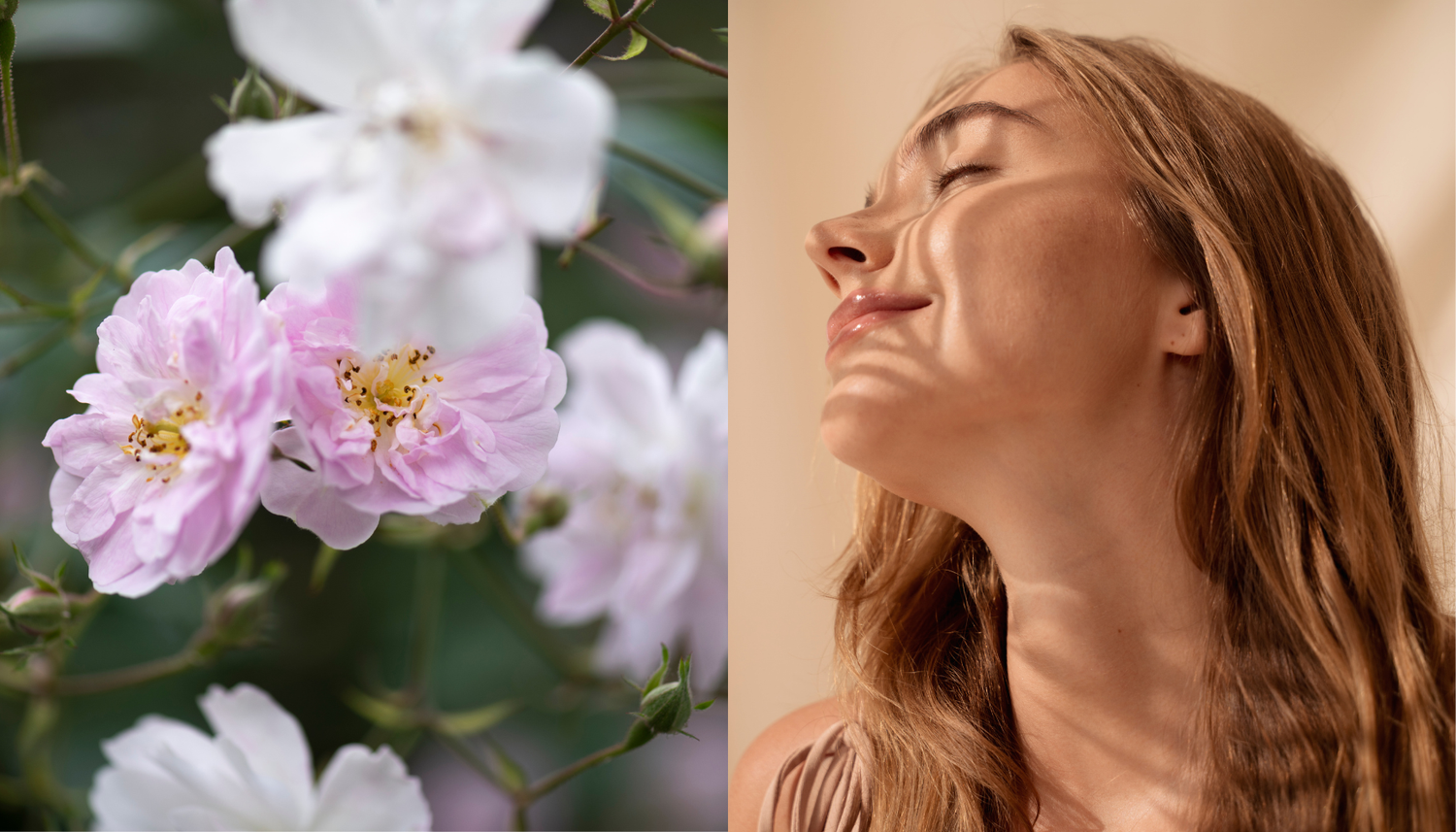 Beyond Organic: The benifits of Wild Roses