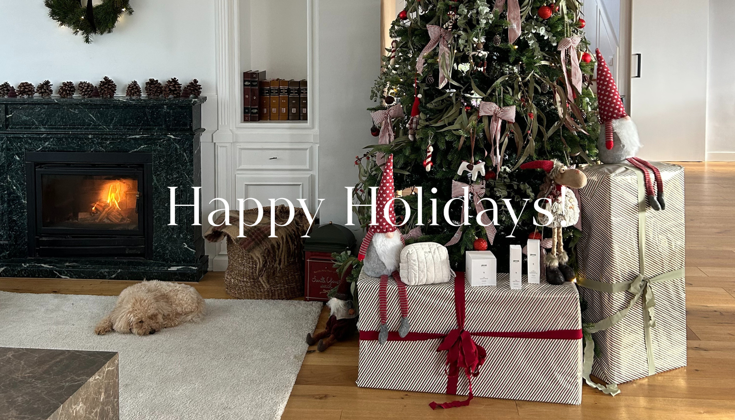 Our Christmas Note — A Wish for Calm and Connection