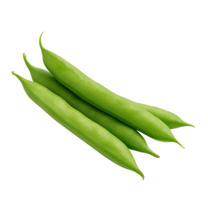 GUAR GUM