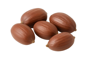 JOJOBA SEED OIL