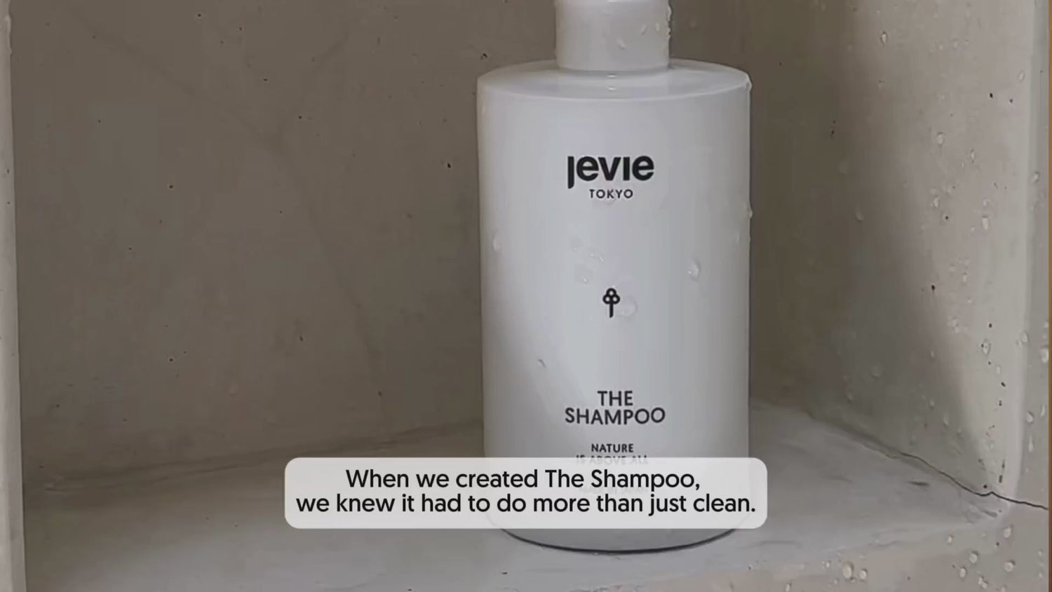 THE SHAMPOO