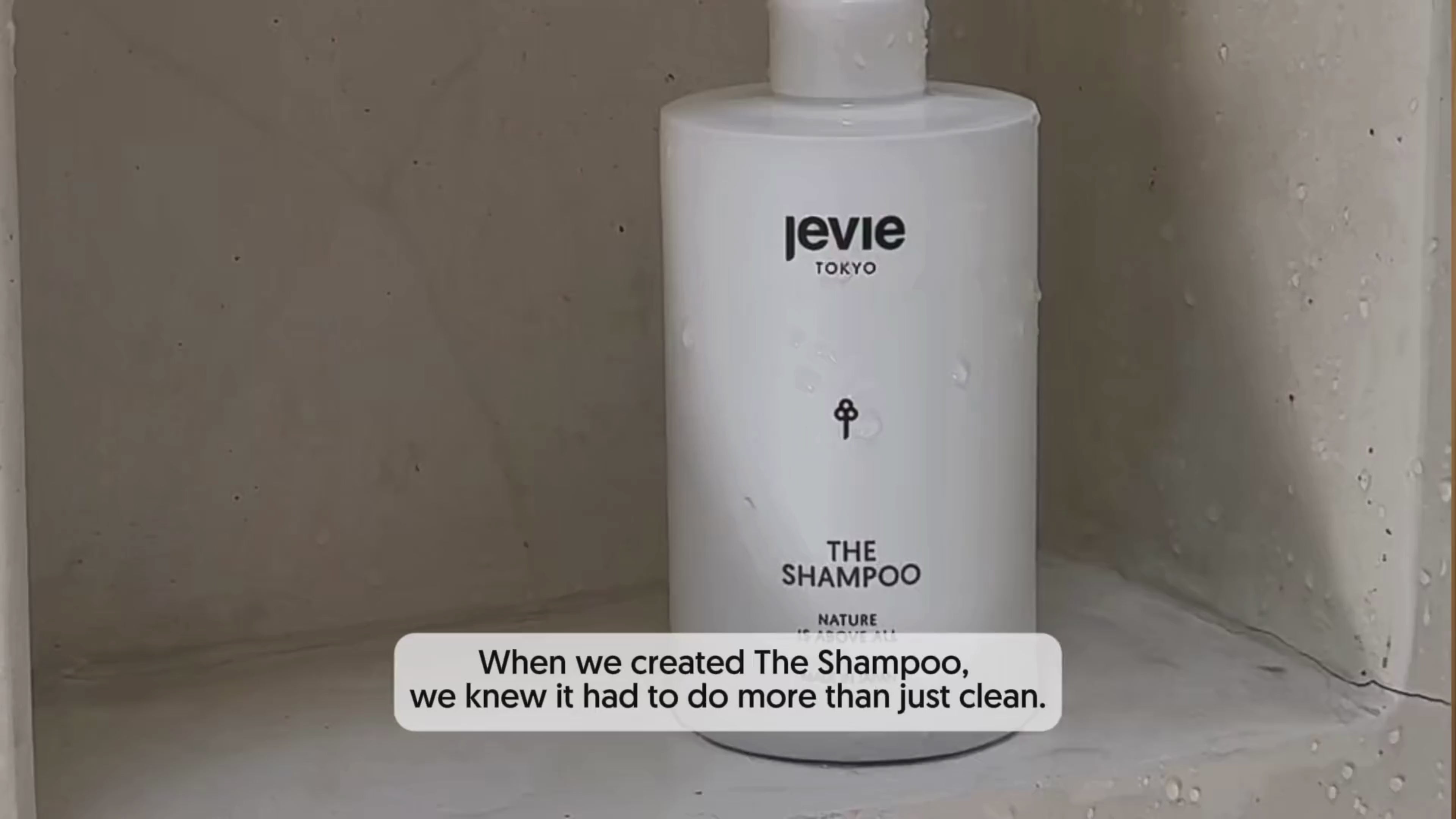 THE SHAMPOO