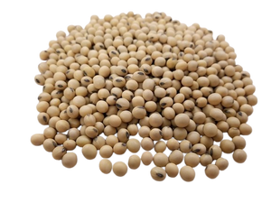 SOY LECITHIN