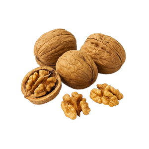 WALNUT SEED OIL